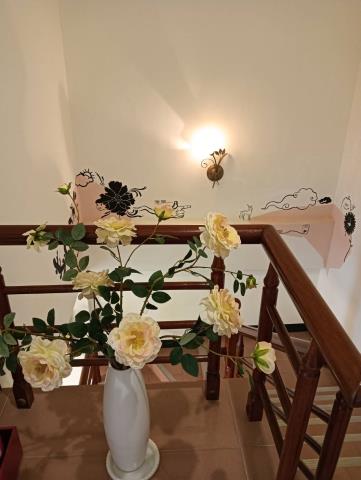 台東台東市別墅-13