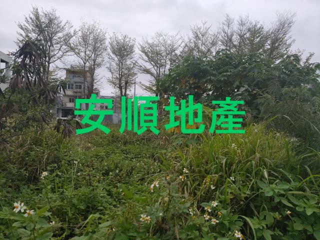 台東台東市建地-5