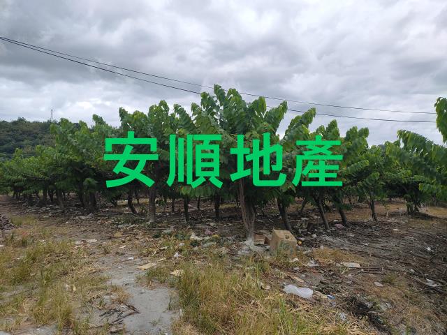 台東卑南農地-0