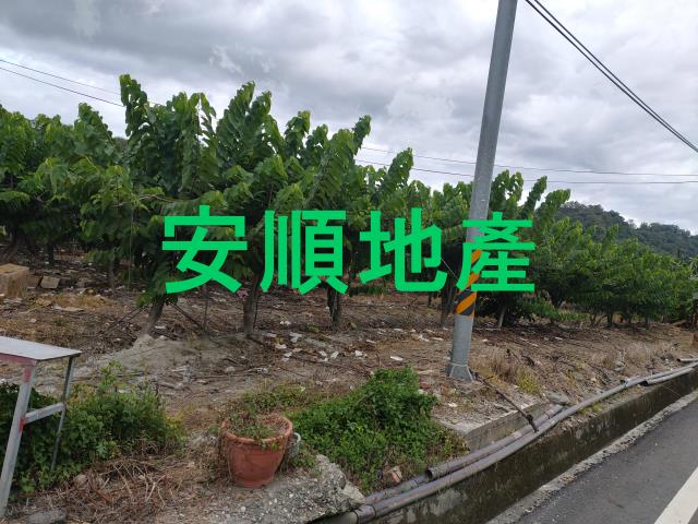 台東卑南農地-1