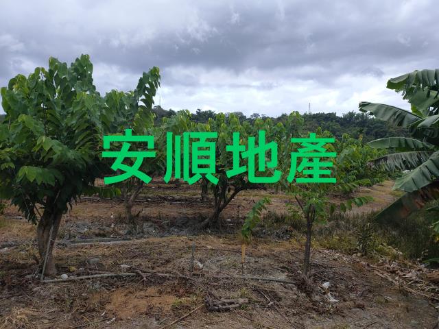 台東卑南農地-3