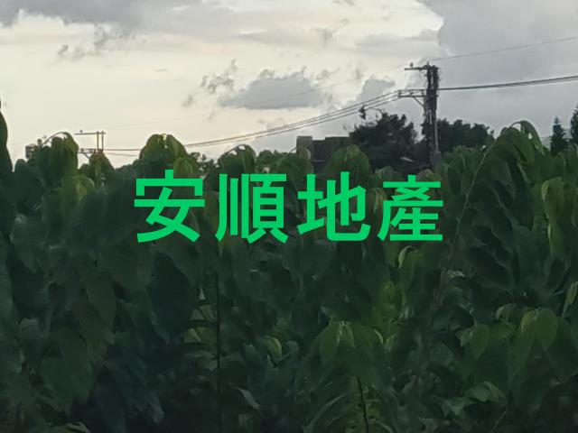 台東卑南農地-5