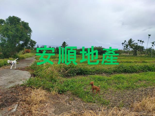 東河農地-10