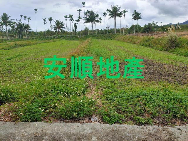 東河農地-11