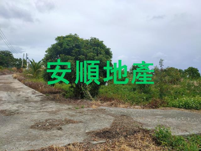 東河農地-0