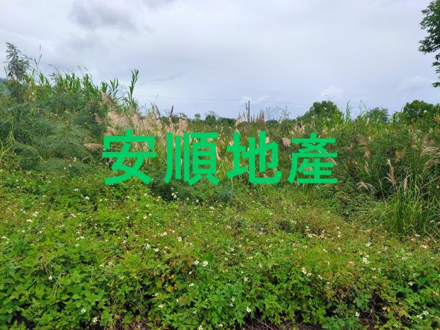 東河農地-1