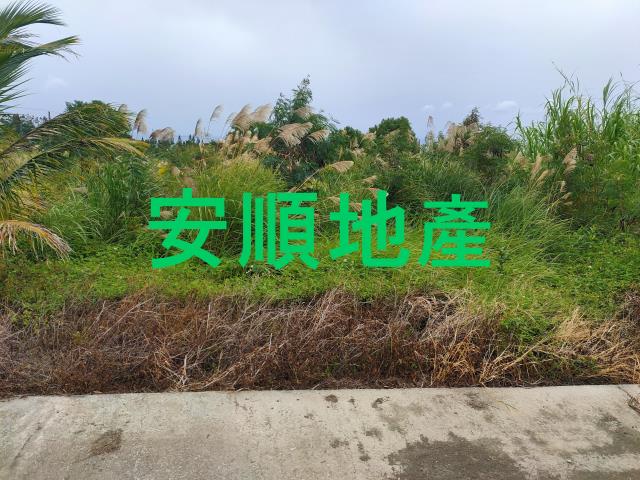 東河農地-2