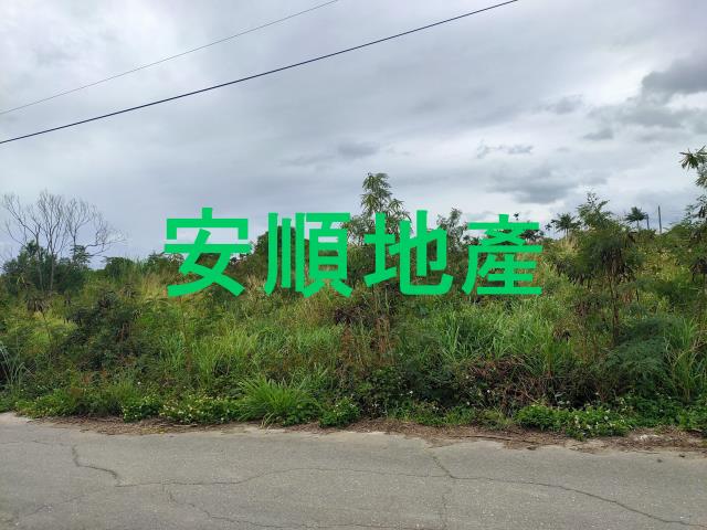 東河農地-3