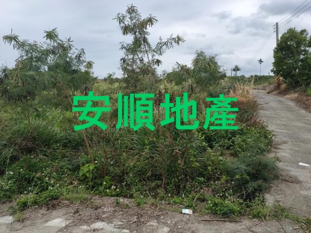 東河農地-4