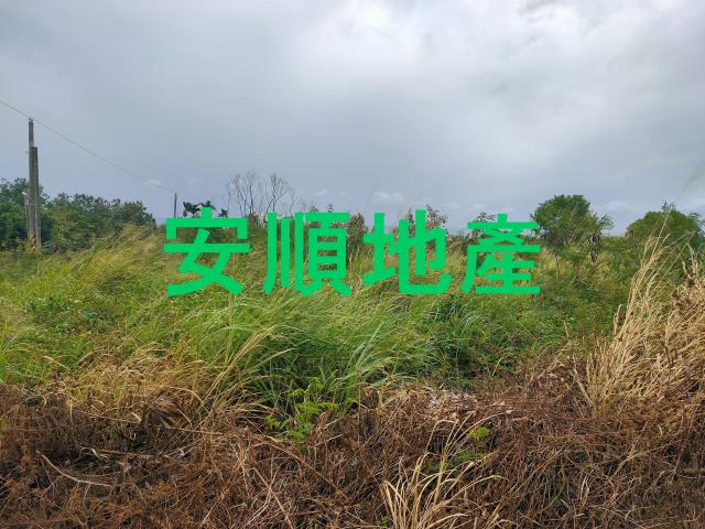 東河農地-5