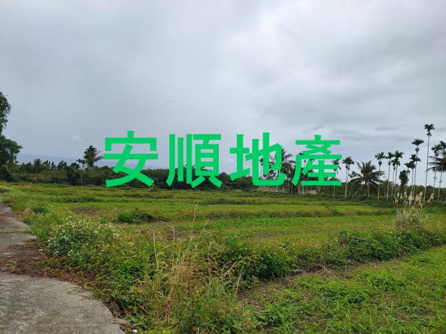東河農地-8