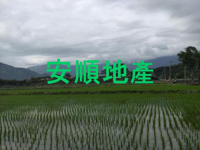 台東鹿野農地-9