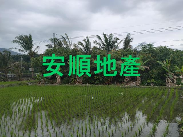 台東鹿野農地-10