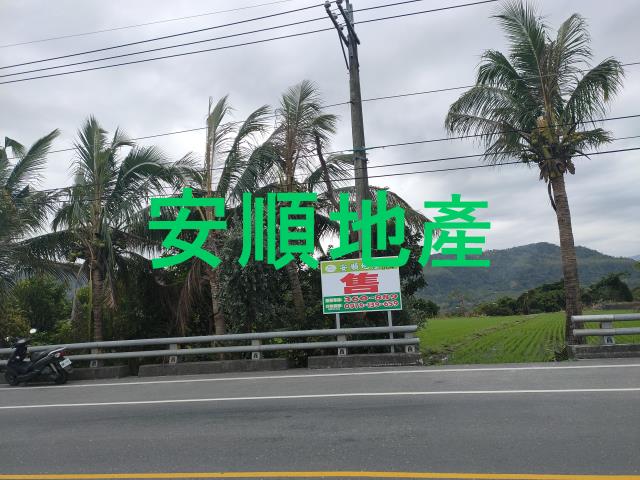 台東鹿野農地-4