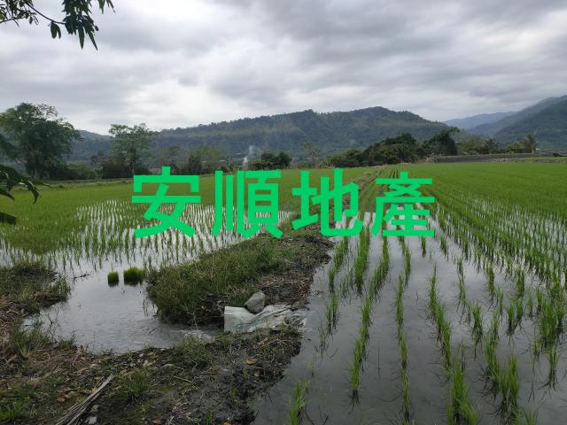台東鹿野農地-6