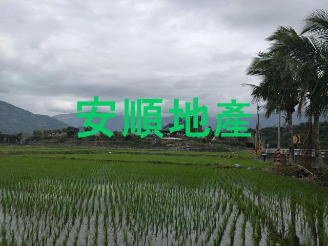 台東鹿野農地-8