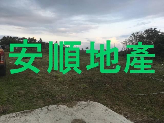 台東成功農地-0