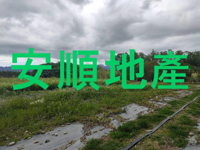 台東鹿野農地-6