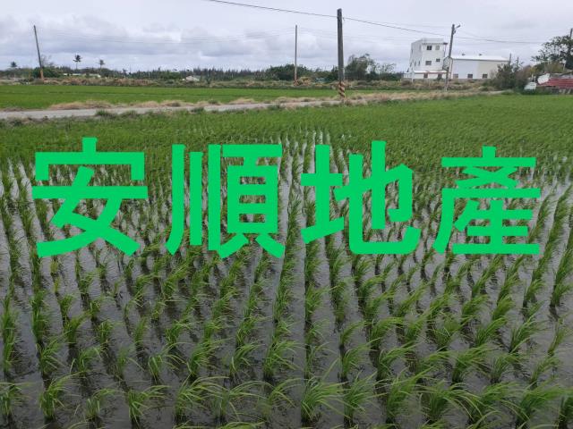 台東台東市農地-1