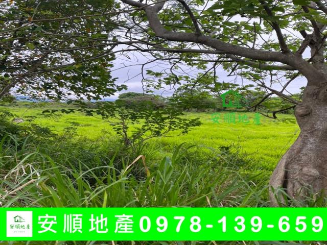 台東市農地-3