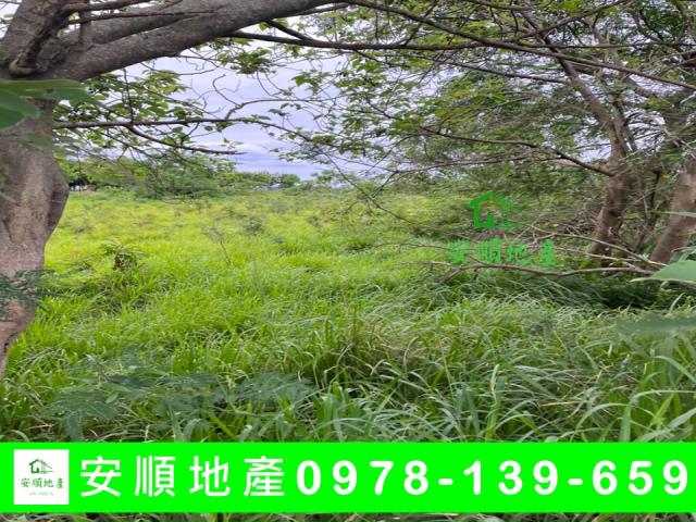 台東市農地-4