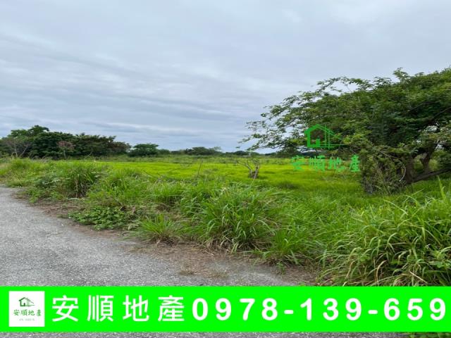 台東市農地-7