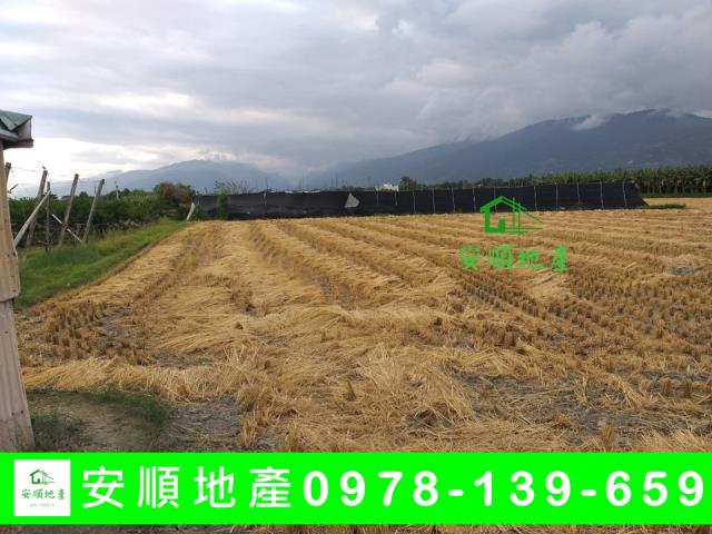台東台東市農地-1