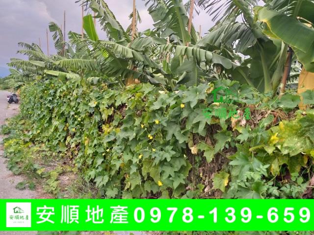 台東台東市農地-4