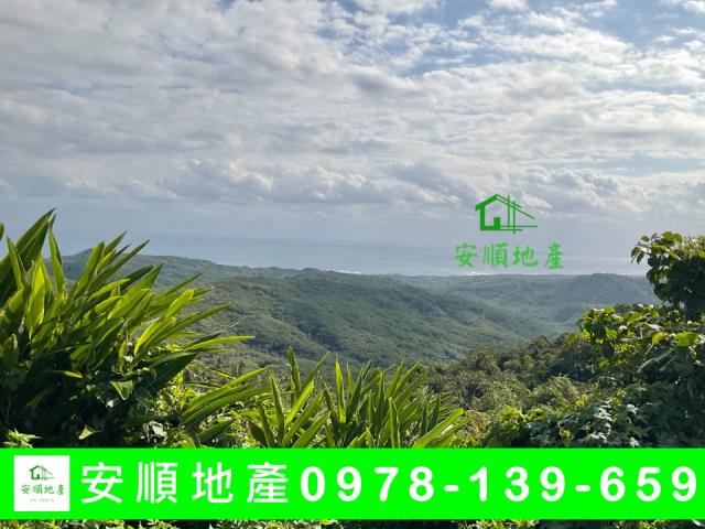卑南農地-3