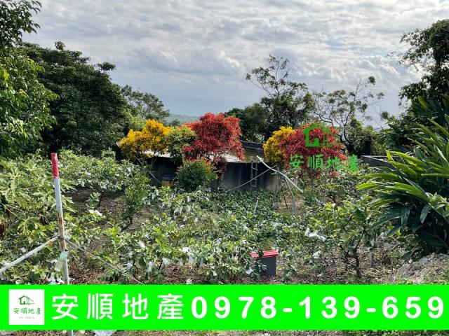 卑南農地-5