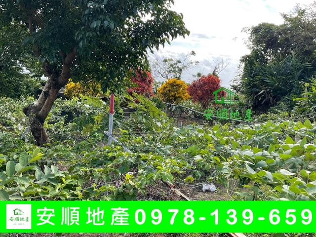 卑南農地-7