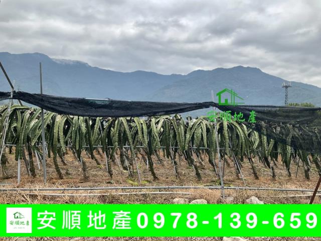 關山農地-0