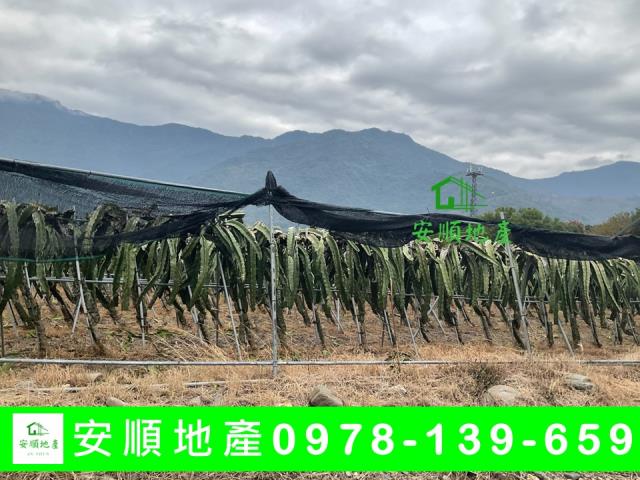 關山農地-1