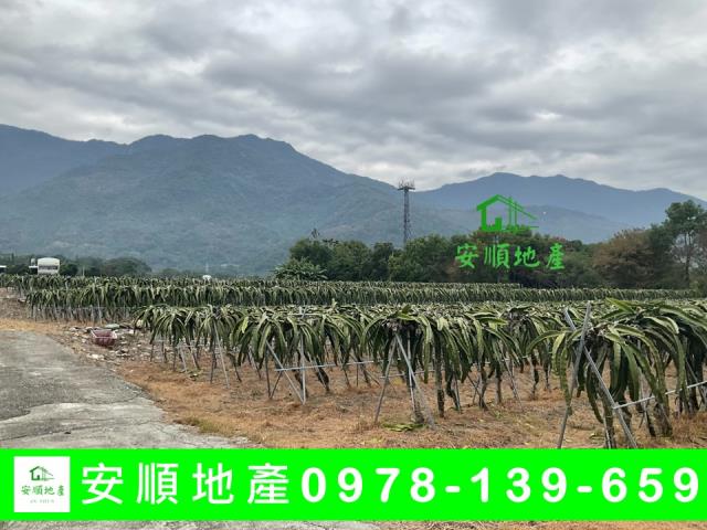 關山農地-4