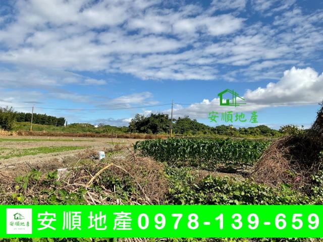 台東市農地-1