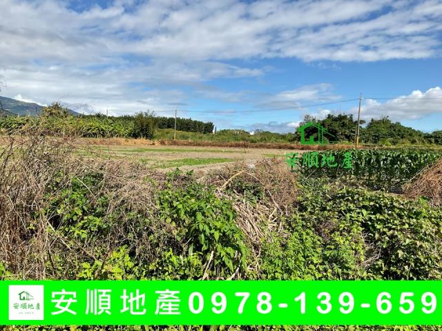 台東市農地-6