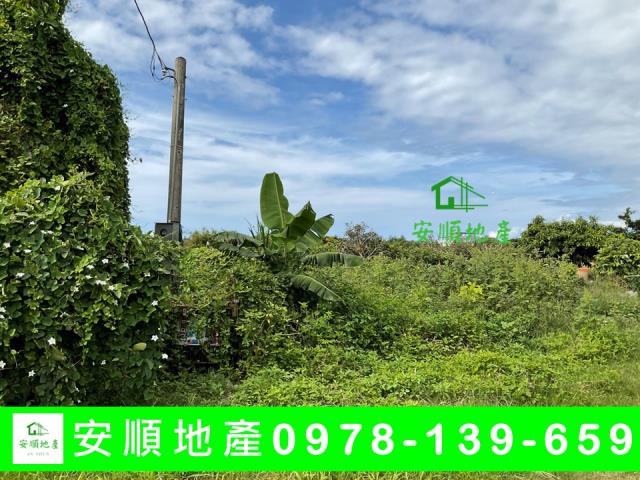 台東台東市農地-0