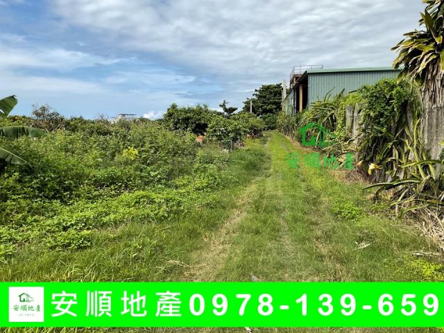 台東台東市農地-1