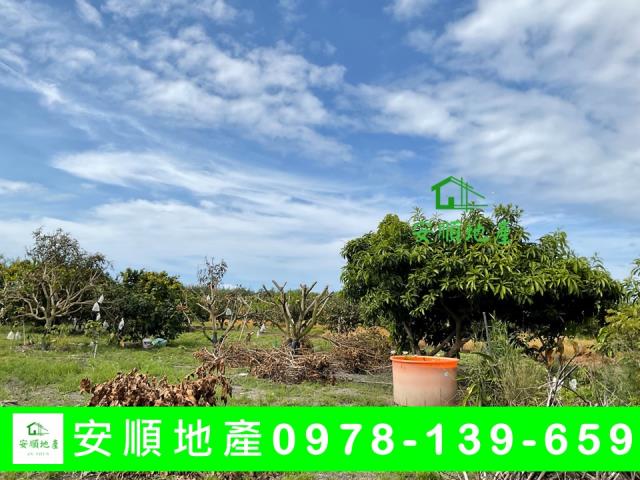 台東台東市農地-3