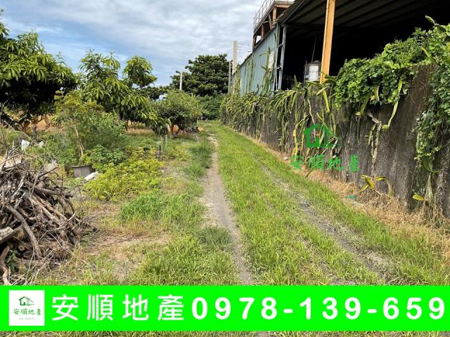 台東台東市農地-4