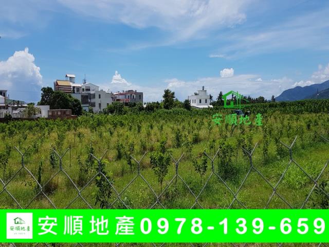 台東卑南農地-3