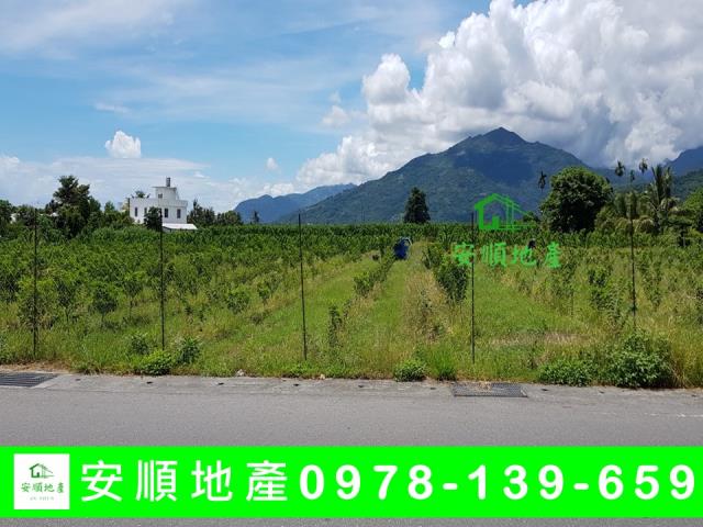 台東卑南農地-4