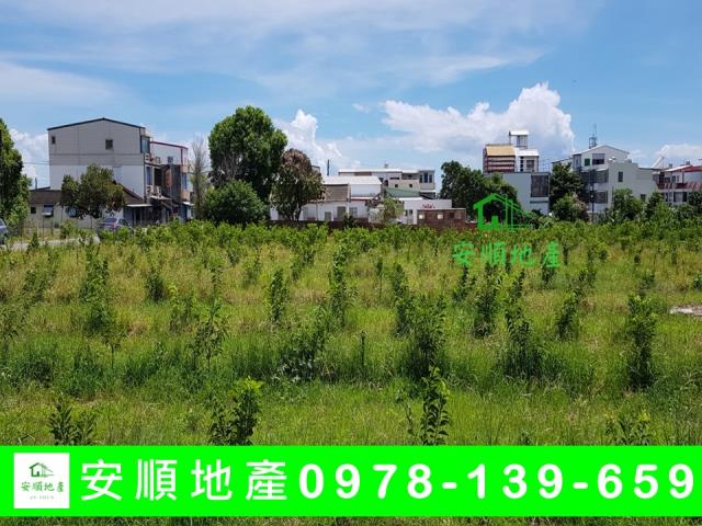 台東卑南農地-5