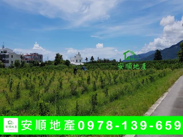 台東卑南農地-6