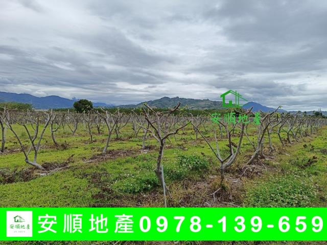 台東卑南農地-0