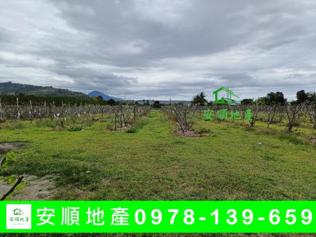 台東卑南農地-3