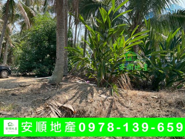 台東東河農地-0