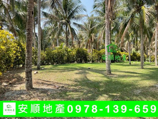 台東東河農地-4