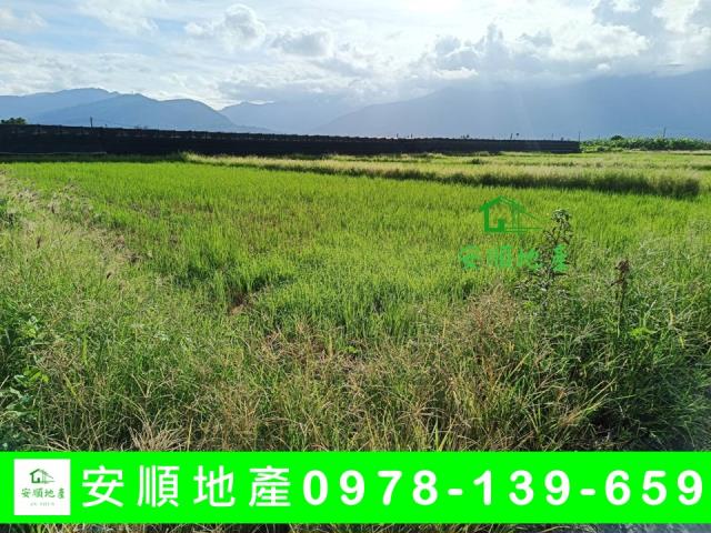 台東市農地-0