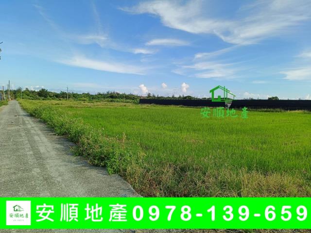 台東市農地-3